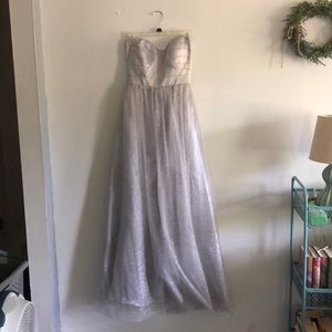 Silver gown
